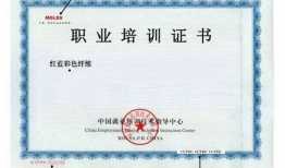 菜菜子证书漫画,揭秘校园生活的欢乐与成长