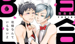 bl漫画是什么意思,探索耽美世界的独特魅力